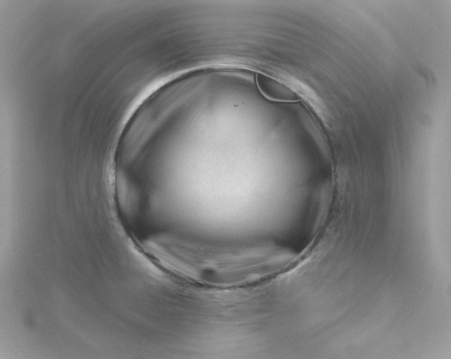 X0000115831428200911271149