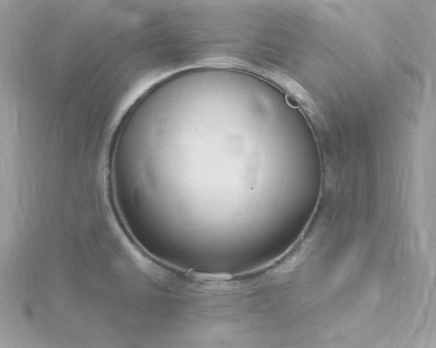 X0000115831430200911271149