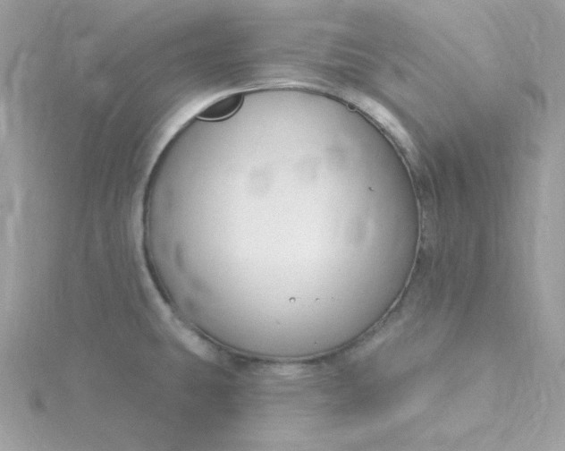 X0000115831431200911271149