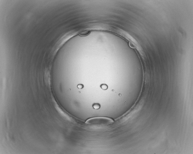 X0000115831433200911271149