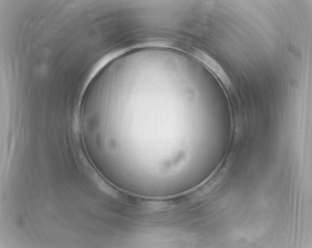 X0000115831436200911271149