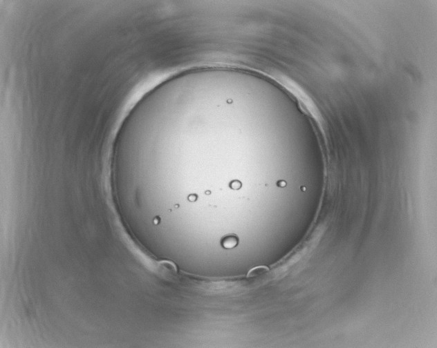 X0000115831437200911271149