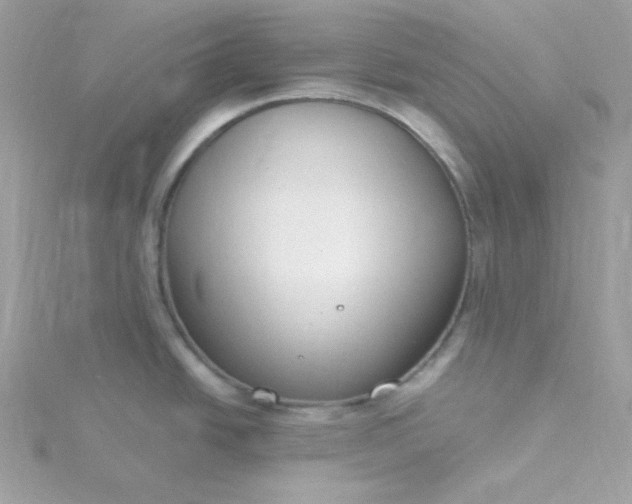 X0000115831438200911271149