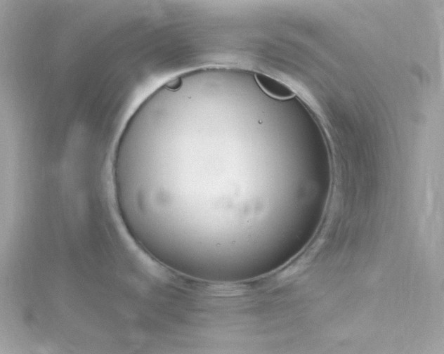 X0000115831440200911271149