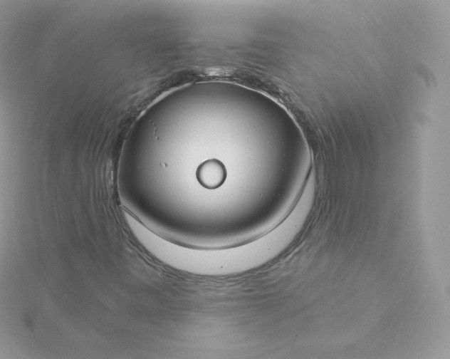 X0000115831443200911271149