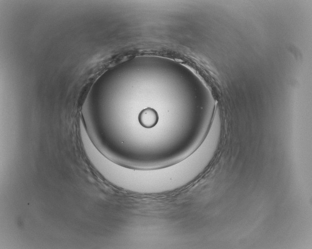 X0000115831445200911271149