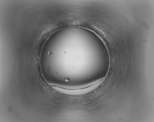 X0000115831447200911271149