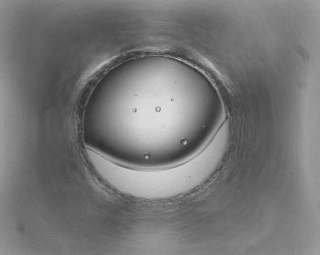 X0000115831448200911271149