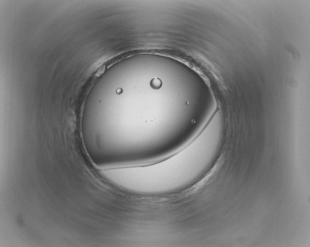 X0000115831449200911271149