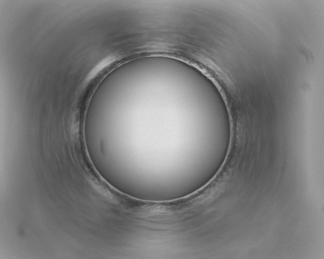 X0000115831450200911271149