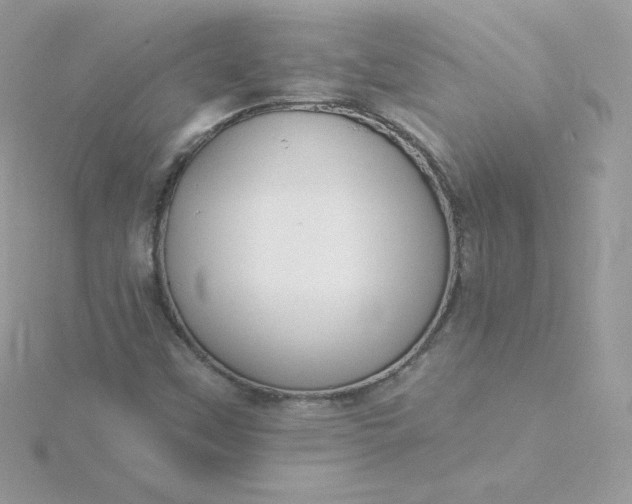 X0000115831451200911271149