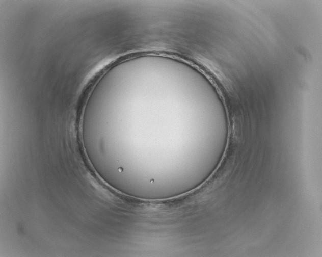 X0000115831452200911271149