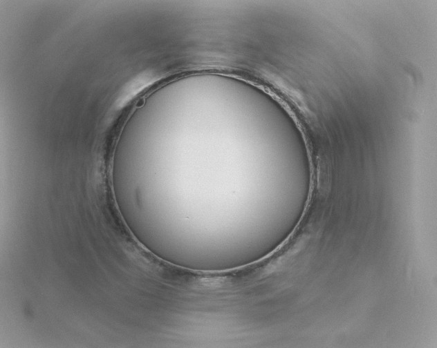 X0000115831453200911271149