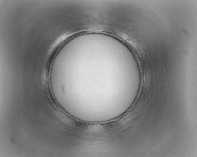 X0000115831454200911271149