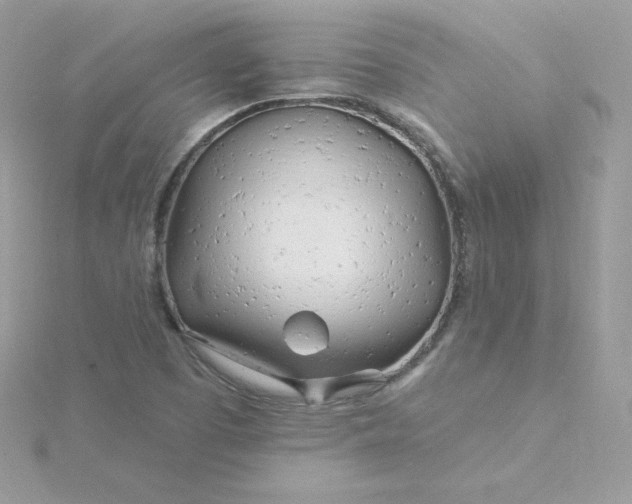 X0000115831457200911271149