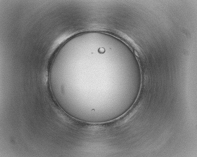 X0000115831461200911271148