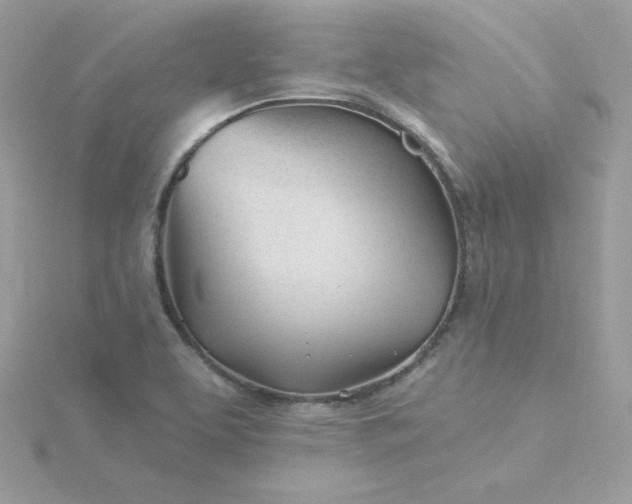 X0000115831463200911271148