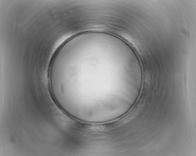 X0000115831466200911271148