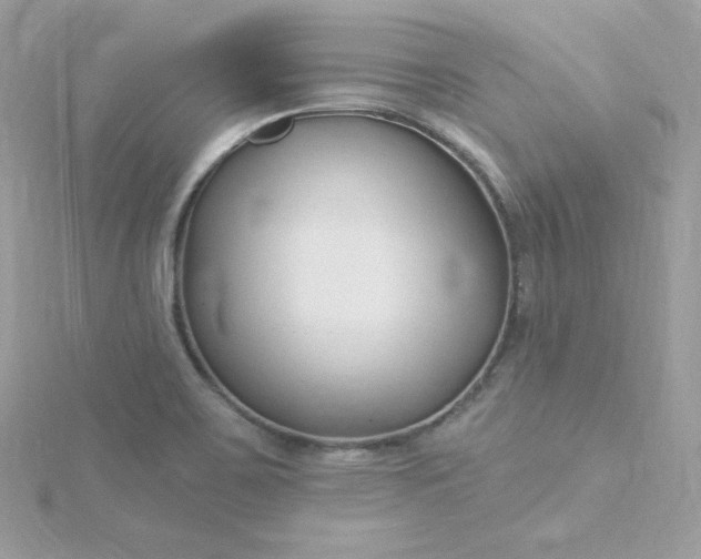 X0000115831467200911271148