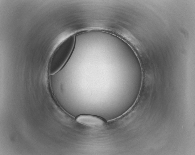 X0000115831469200911271148