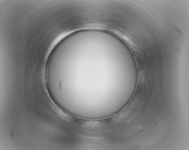 X0000115831470200911271148