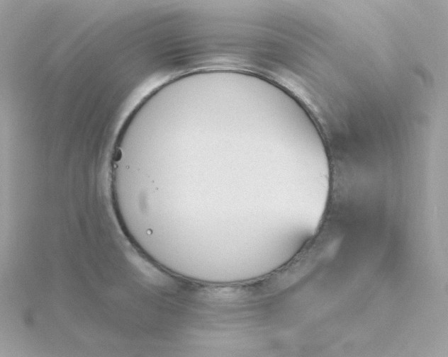 X0000115831474200911271148