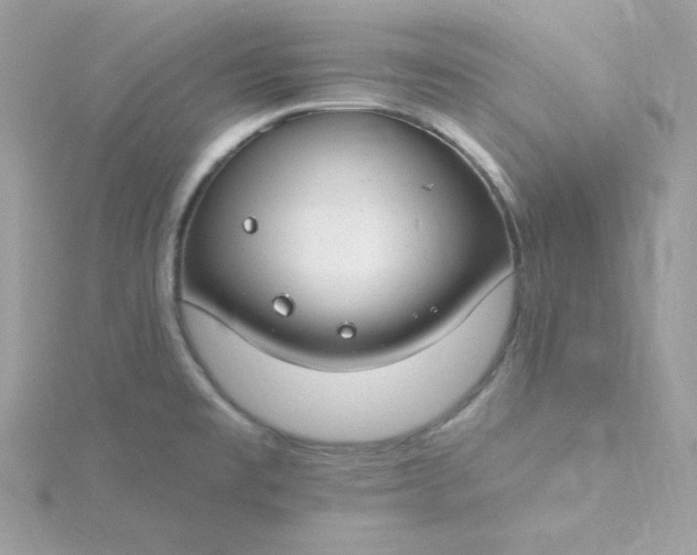 X0000115831477200911271148