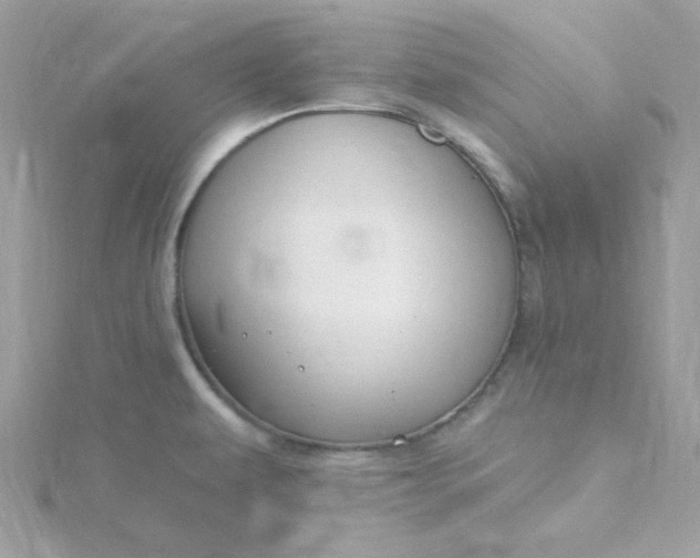 X0000115831479200911271148