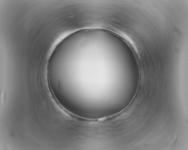 X0000115831480200911271148