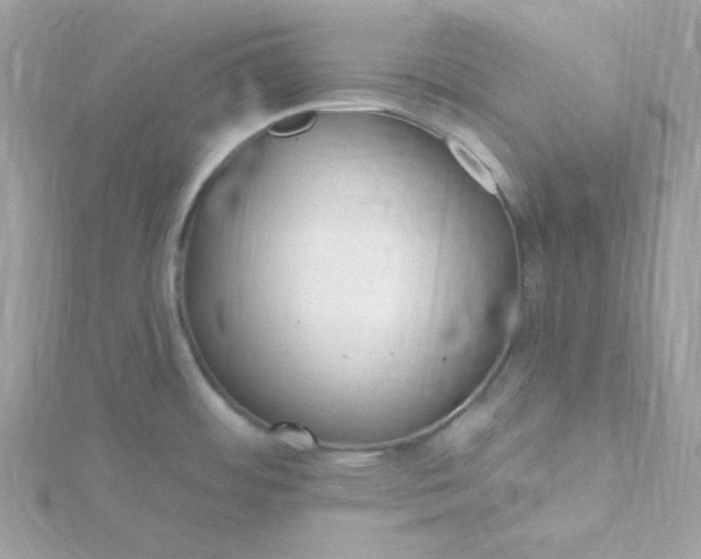 X0000115831484200911271148