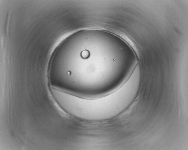 X0000115831485200911271148