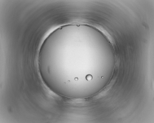 X0000115831486200911271148