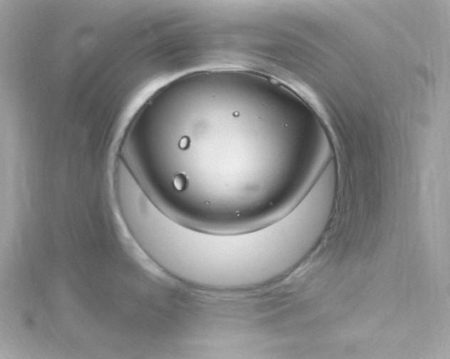 X0000115831488200911271148