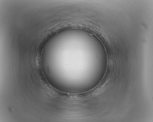 X0000115831490200911271148