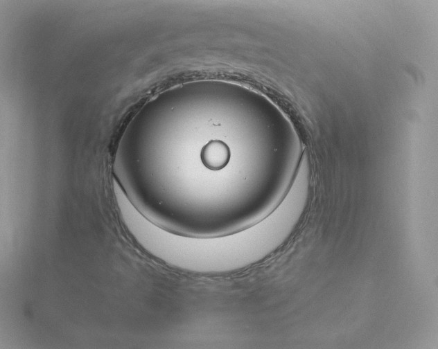 X0000115831493200911271148