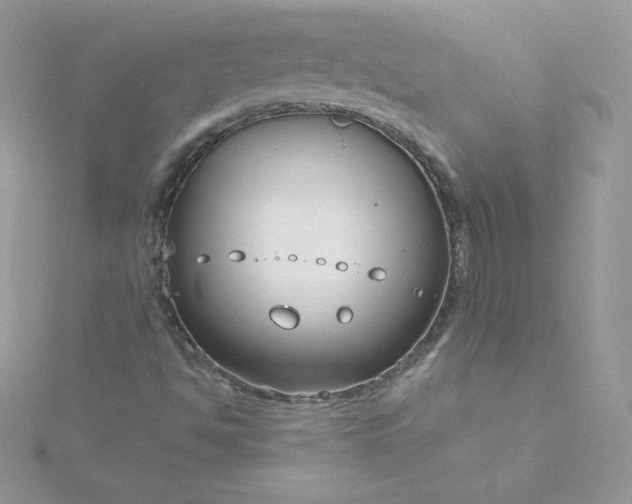 X0000115831494200911271148