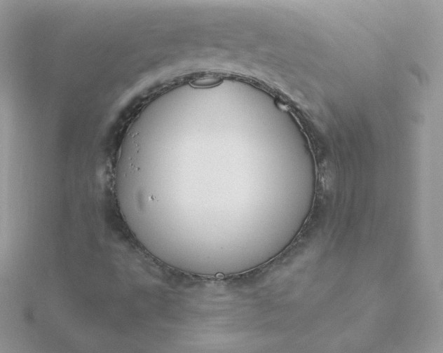 X0000115831495200911271148