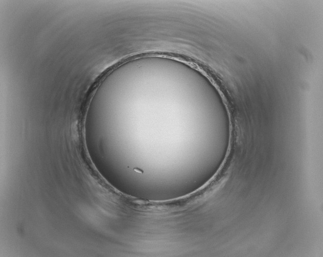 X0000115831497200911271148