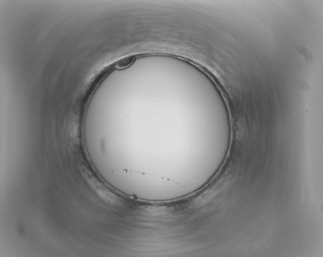 X0000115831499200911271148