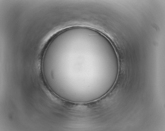 X0000115831503200911271148