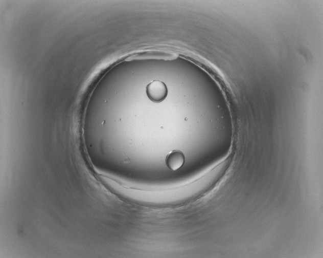 X0000115831506200911271148