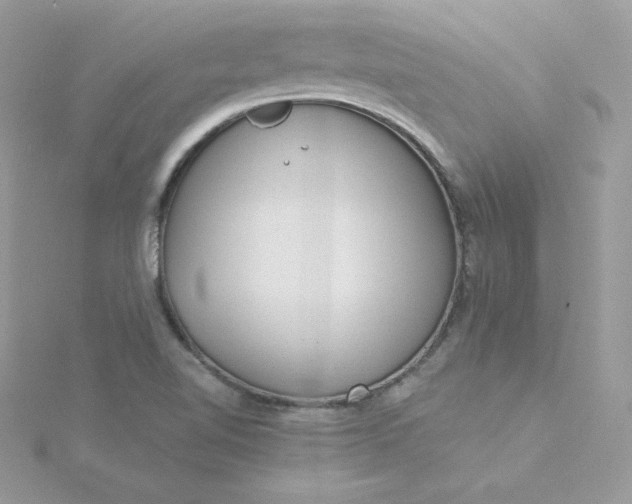 X0000115831510200911271148