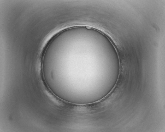 X0000115831511200911271148