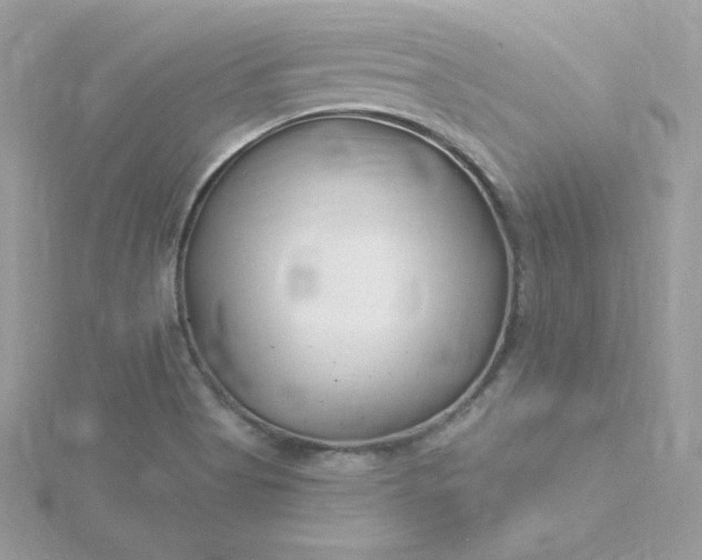 X0000115831513200911271148