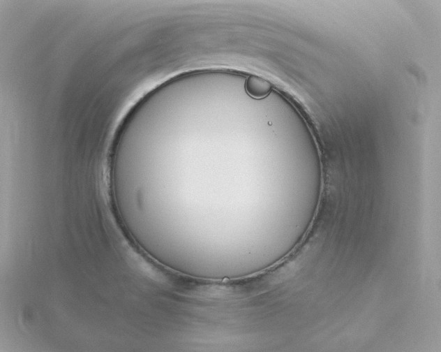 X0000115831517200911271148