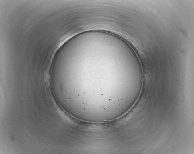 X0000115831521200911271148