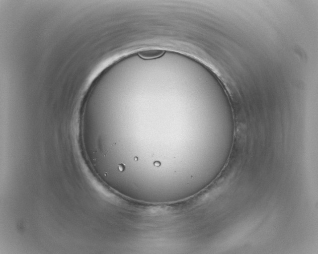 X0000115831523200911271148