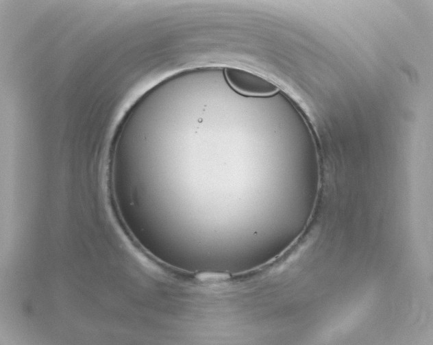 X0000115831525200911271148