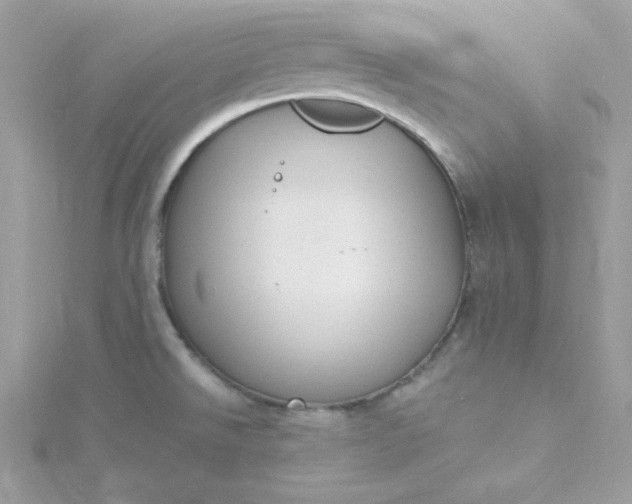 X0000115831526200911271148