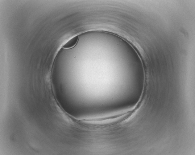 X0000115831529200911271148